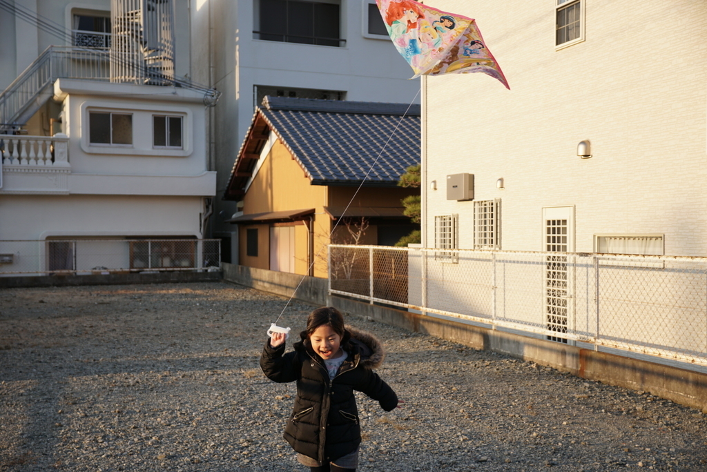 f:id:djrkmrym:20190112233203j:plain