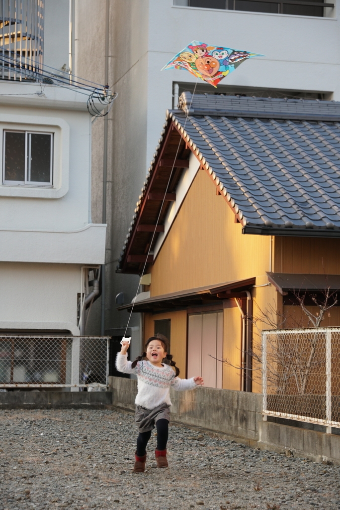 f:id:djrkmrym:20190112233420j:plain