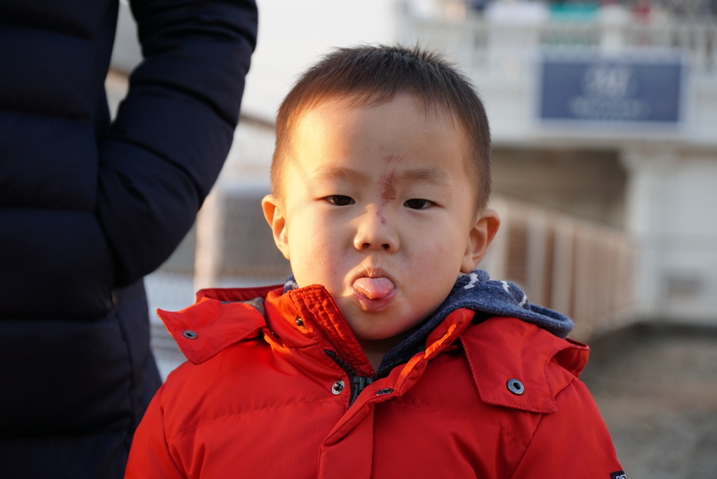 f:id:djrkmrym:20190112233449j:plain