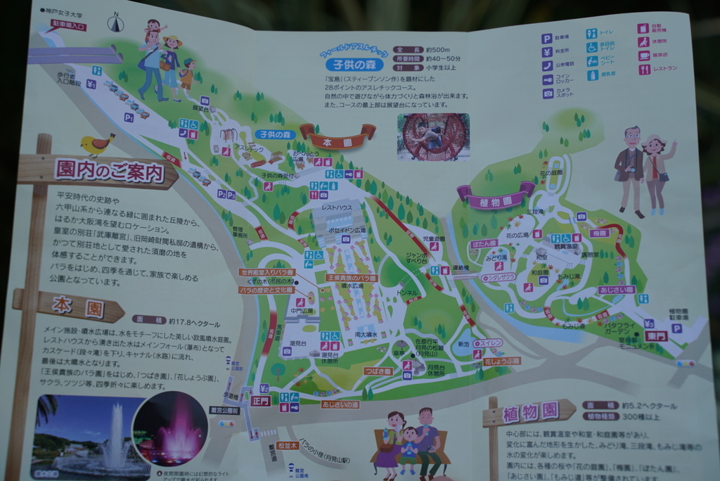f:id:djrkmrym:20190114035201j:plain