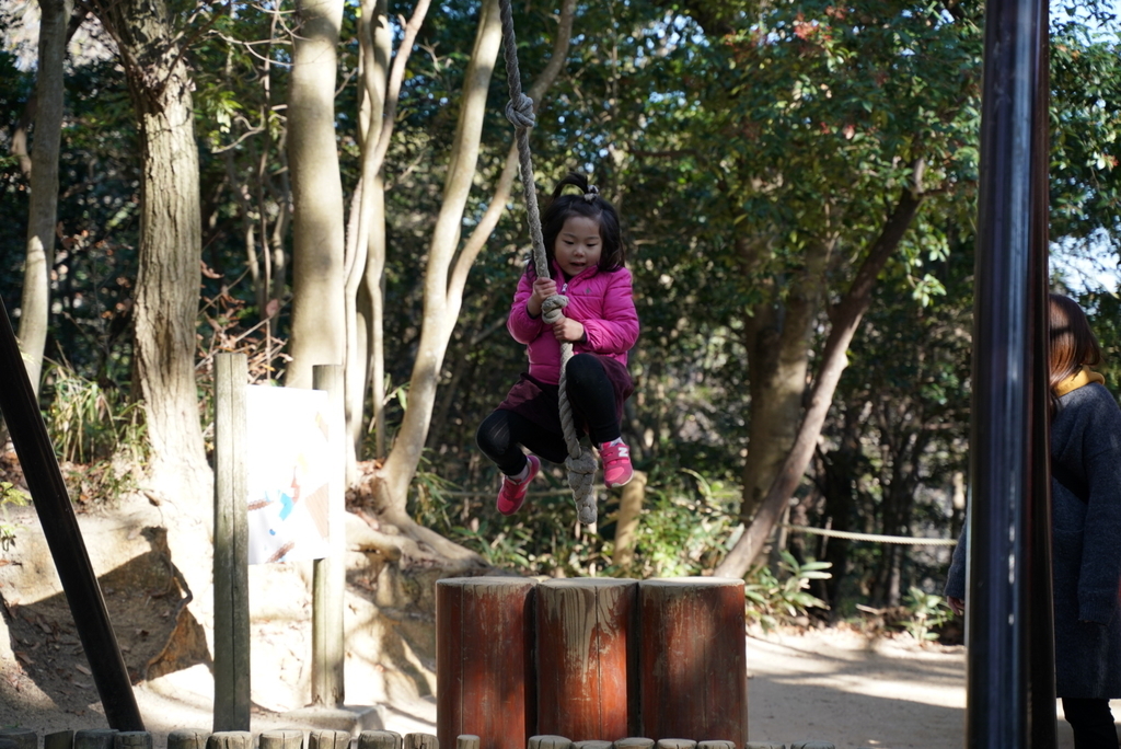 f:id:djrkmrym:20190116224218j:plain
