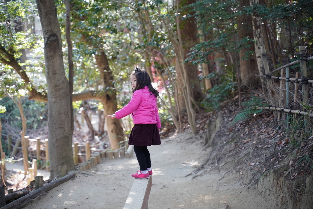 f:id:djrkmrym:20190116230240j:plain