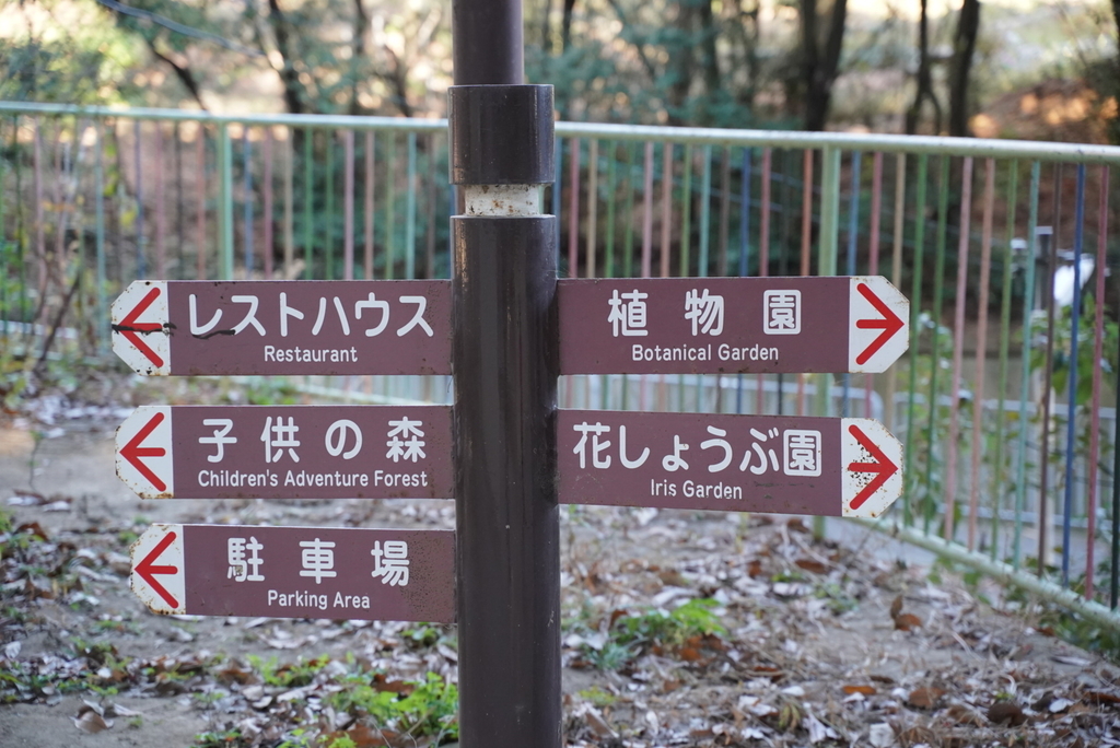 f:id:djrkmrym:20190118010258j:plain