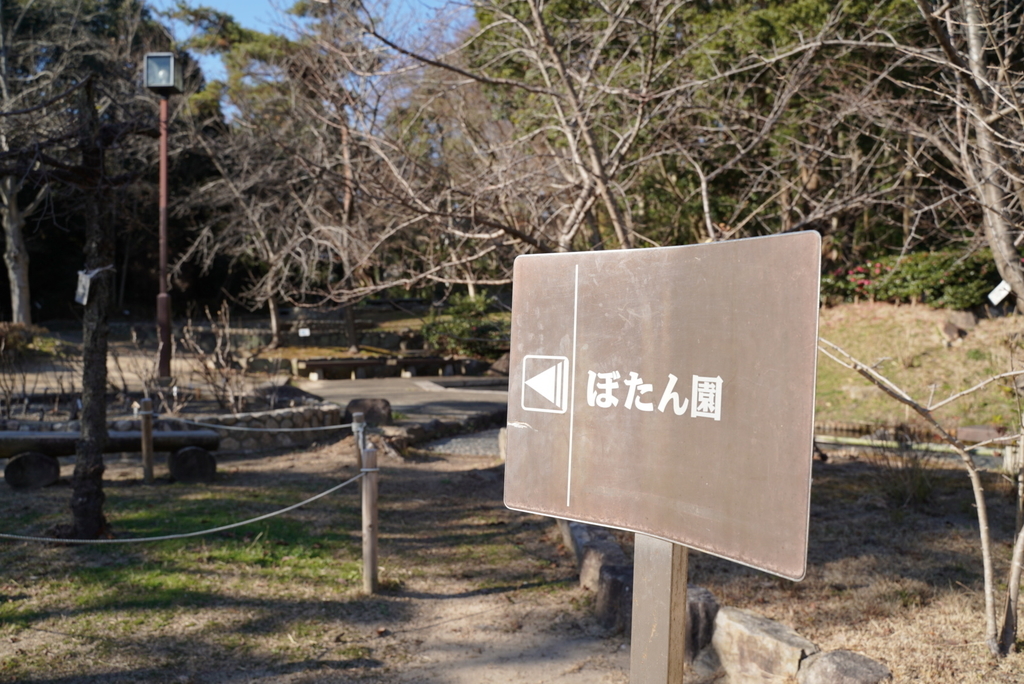 f:id:djrkmrym:20190118010420j:plain