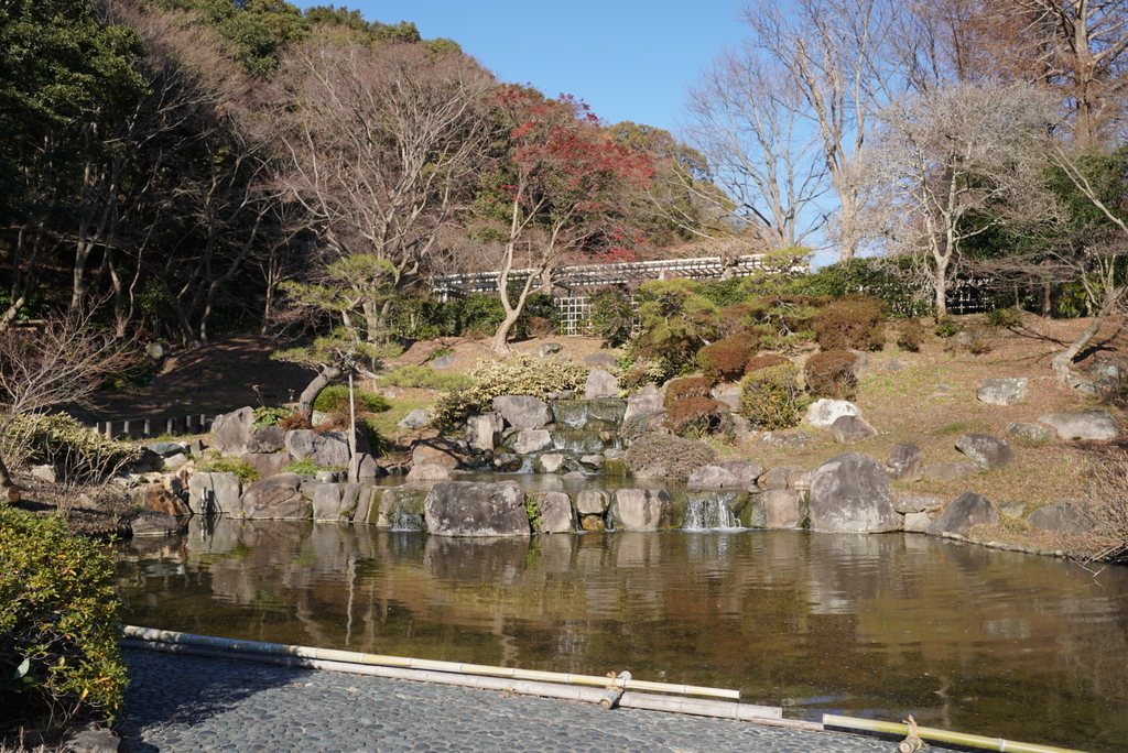 f:id:djrkmrym:20190118010440j:plain
