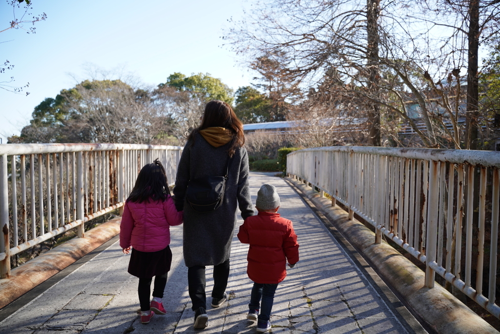 f:id:djrkmrym:20190118011357j:plain