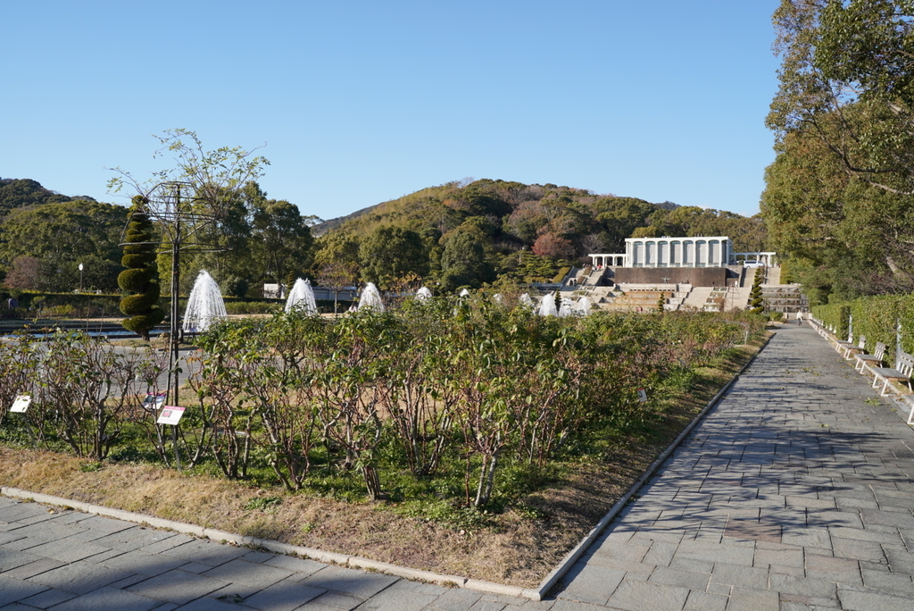 f:id:djrkmrym:20190118011647j:plain