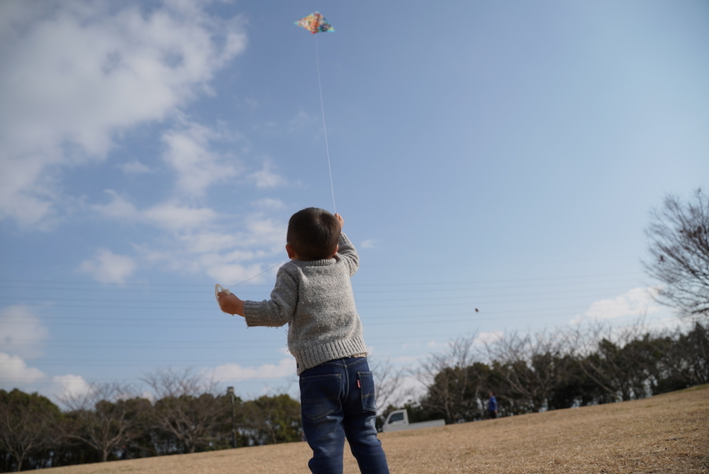 f:id:djrkmrym:20190118235249j:plain