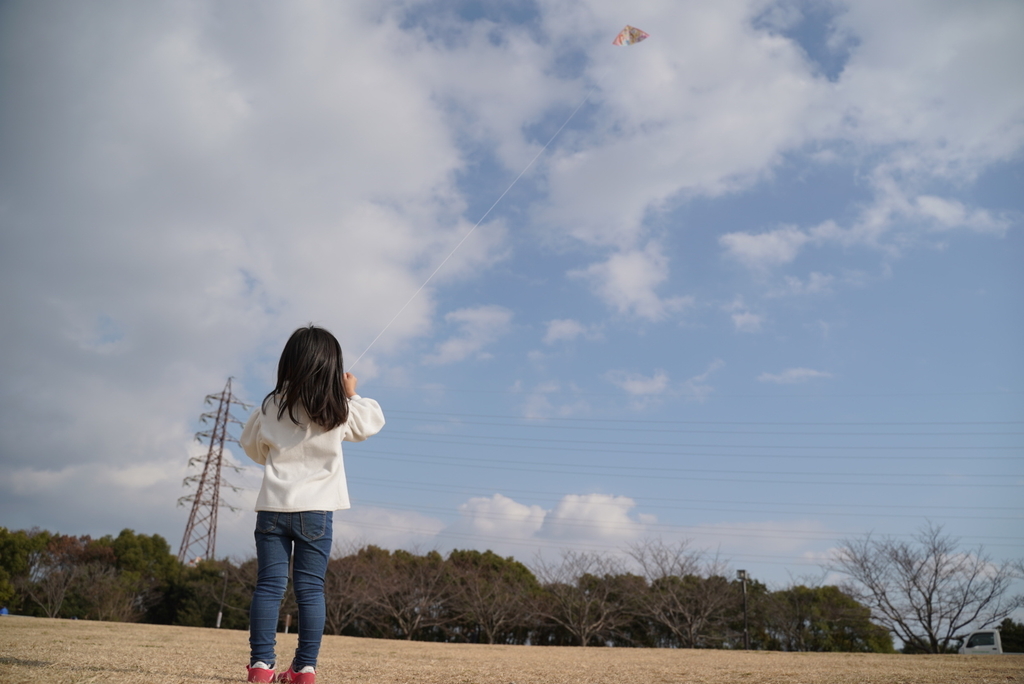 f:id:djrkmrym:20190118235329j:plain