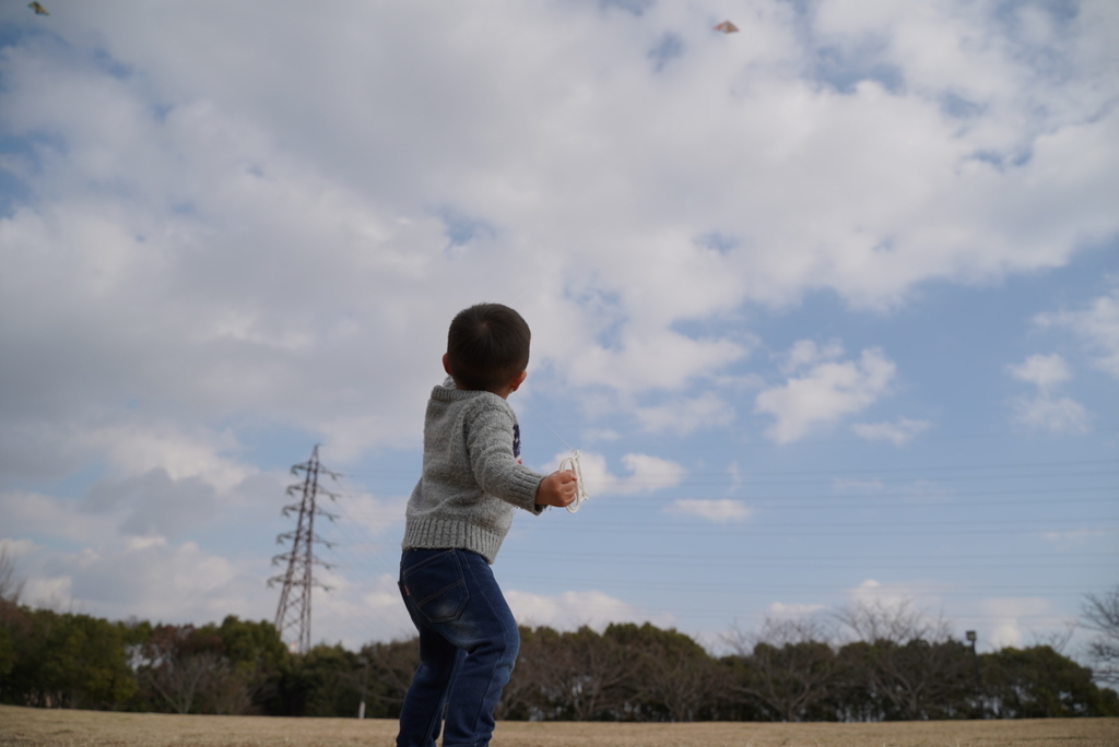 f:id:djrkmrym:20190118235410j:plain