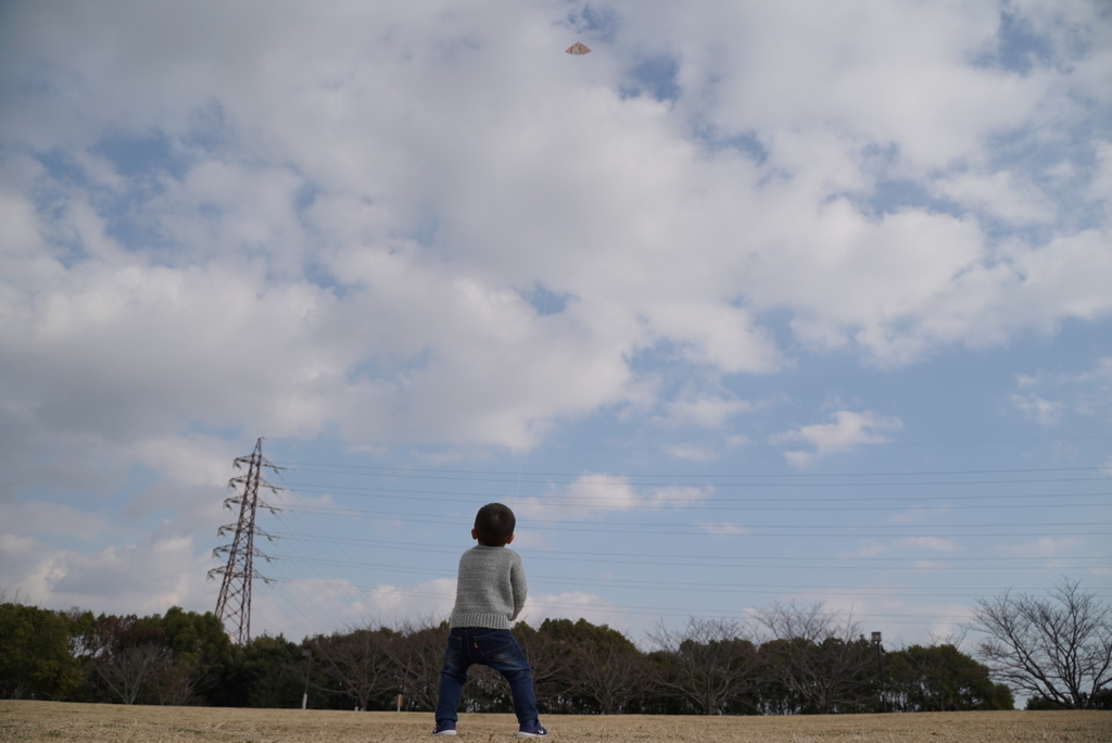 f:id:djrkmrym:20190118235530j:plain