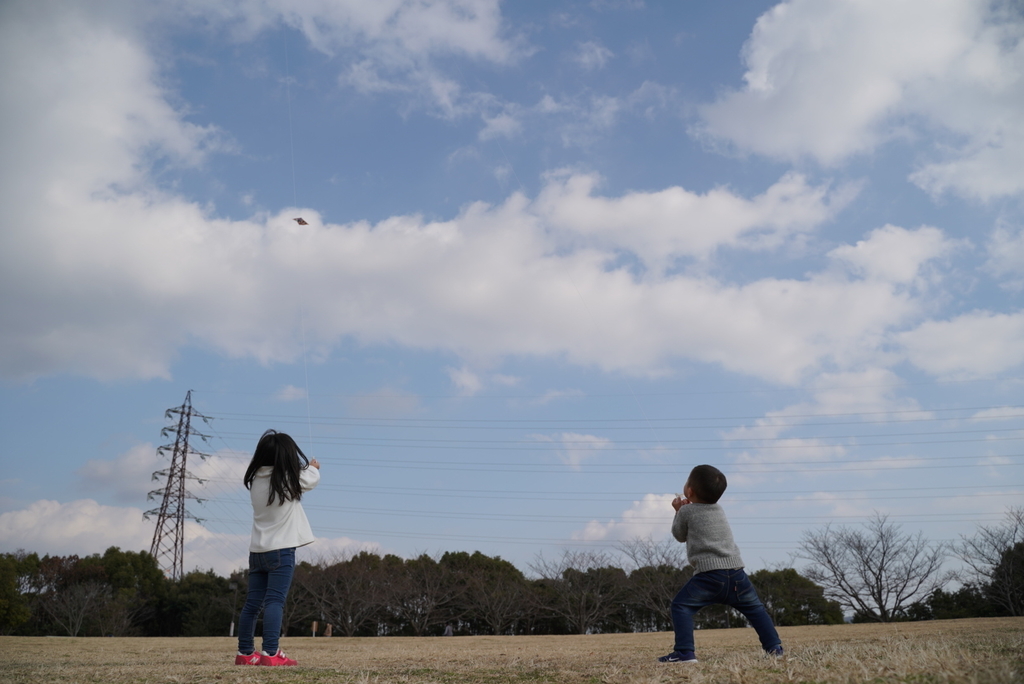 f:id:djrkmrym:20190118235600j:plain
