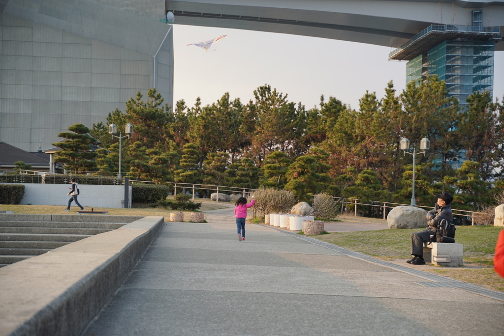 f:id:djrkmrym:20190119004524j:plain