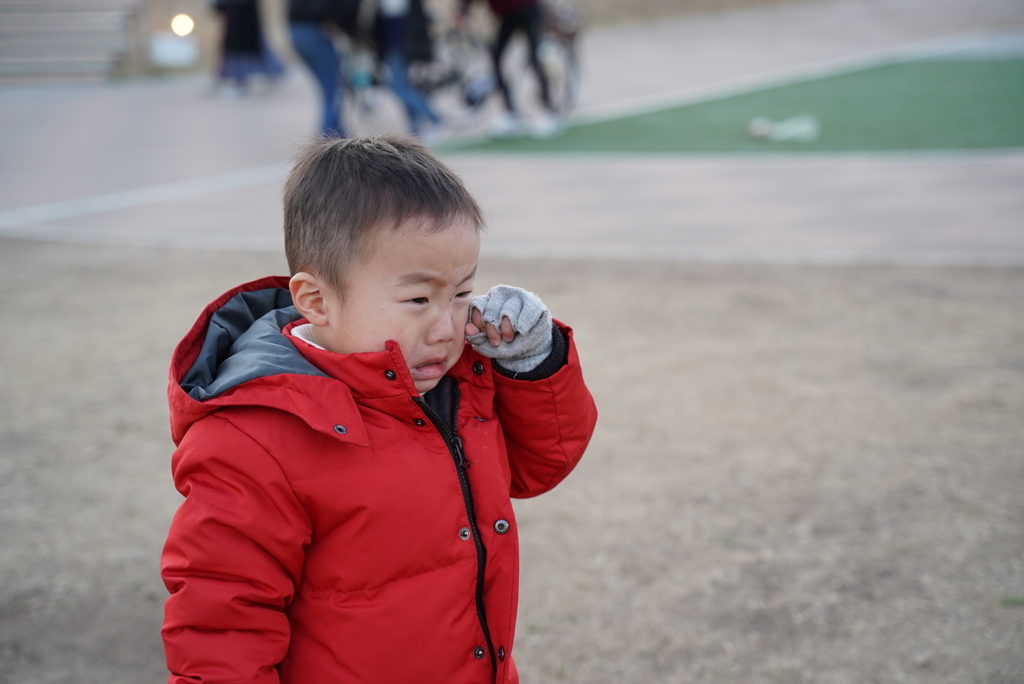f:id:djrkmrym:20190122165334j:plain