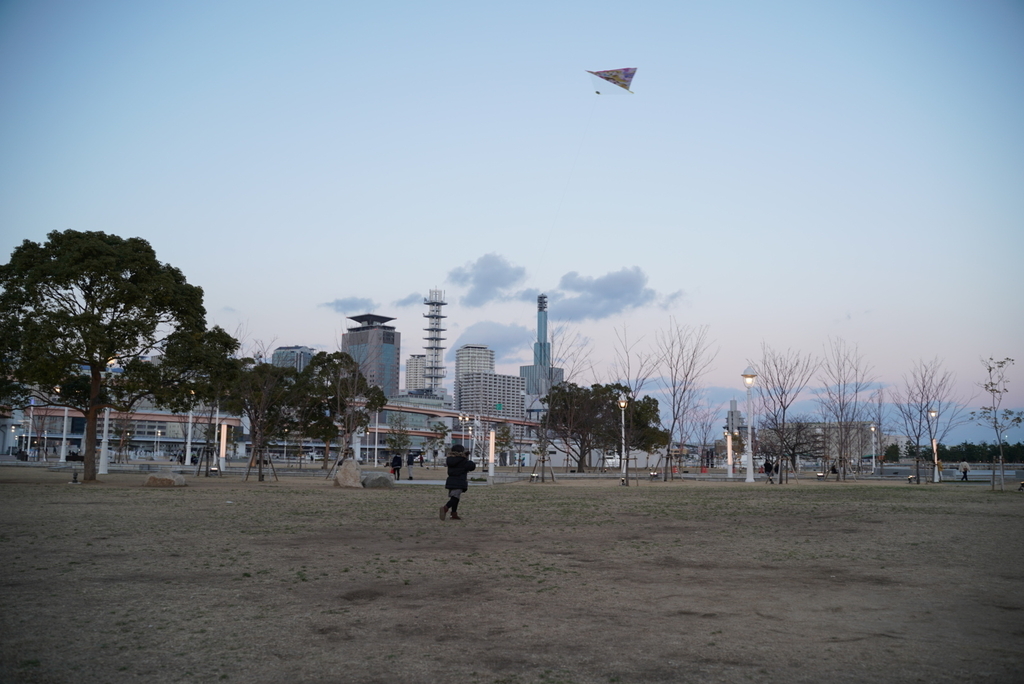 f:id:djrkmrym:20190122165708j:plain