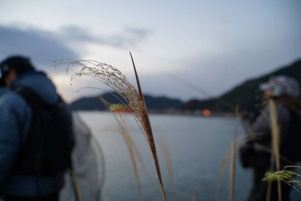 f:id:djrkmrym:20190127084847j:plain
