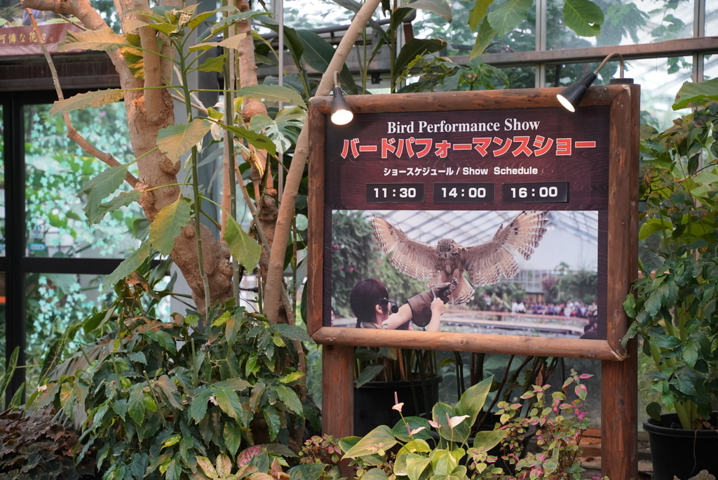 f:id:djrkmrym:20190130110745j:plain