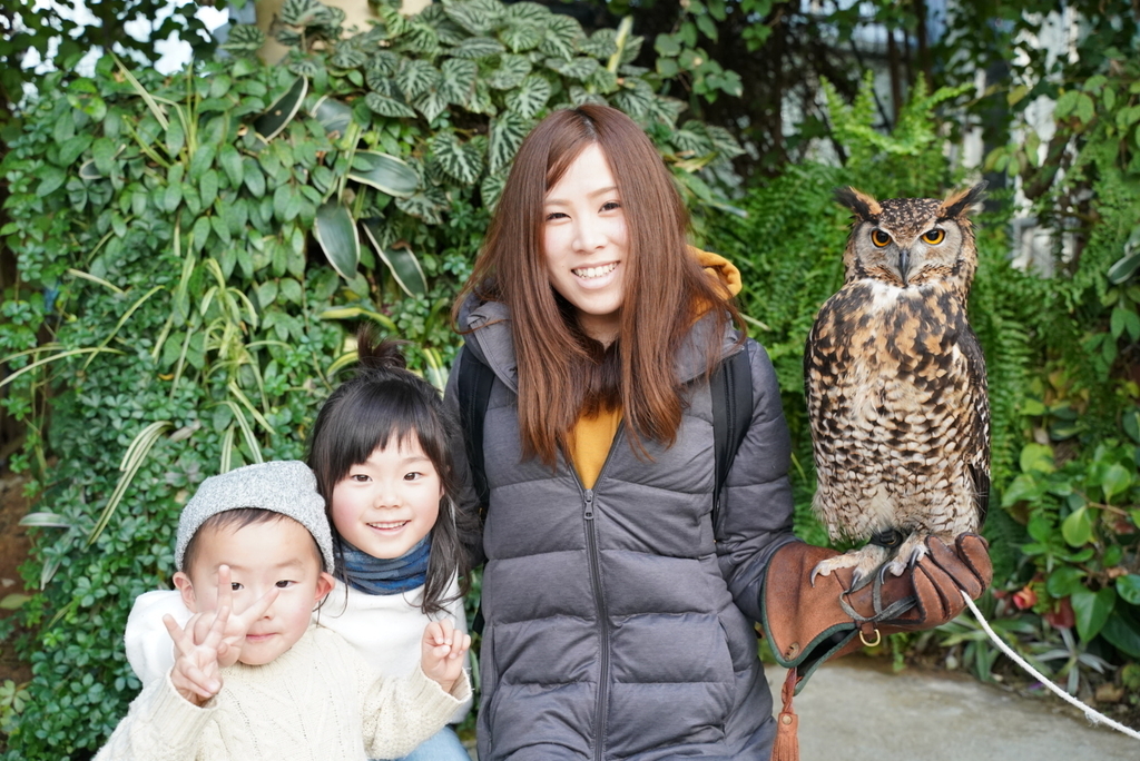 f:id:djrkmrym:20190130222630j:plain