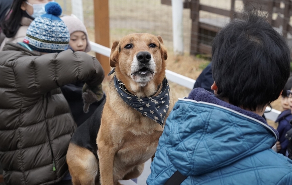 f:id:djrkmrym:20190130224100j:plain