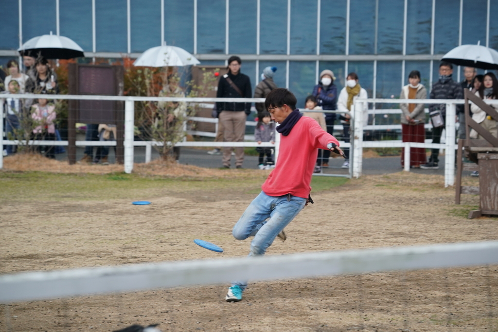 f:id:djrkmrym:20190130225446j:plain