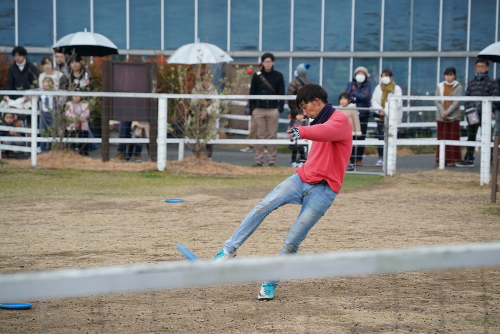 f:id:djrkmrym:20190130225529j:plain