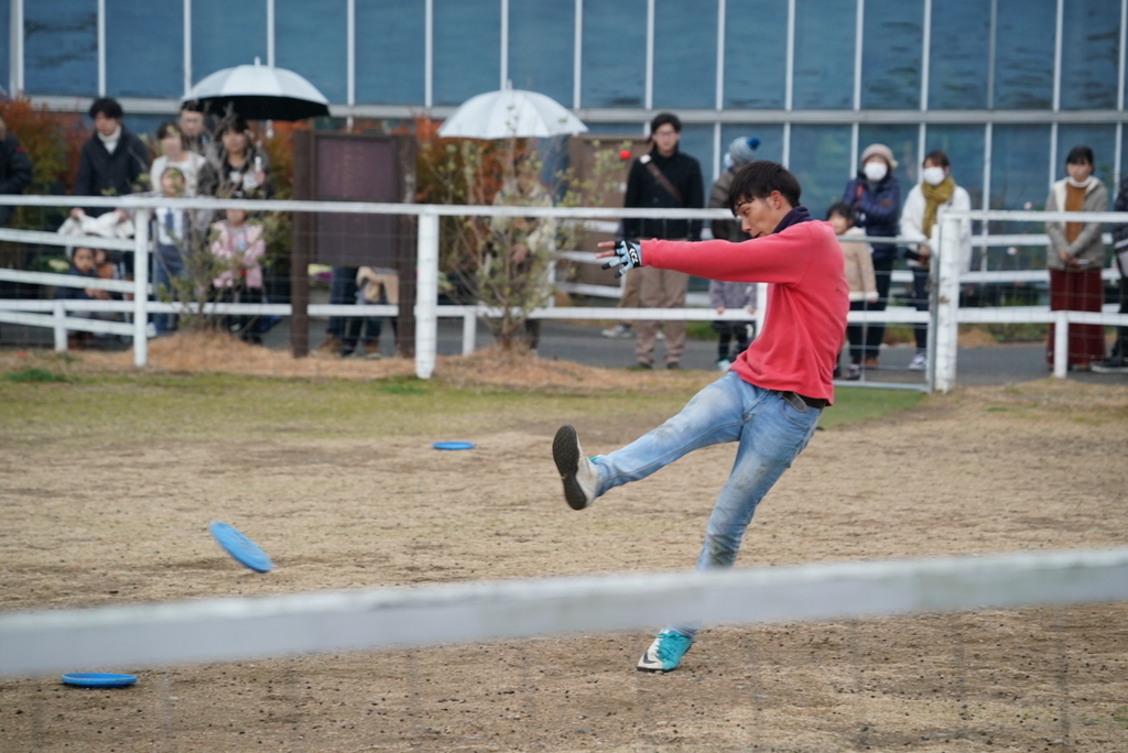 f:id:djrkmrym:20190130225601j:plain