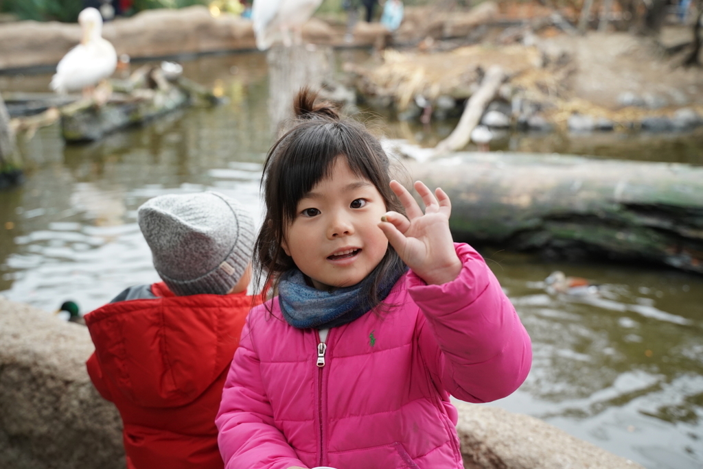 f:id:djrkmrym:20190130230923j:plain