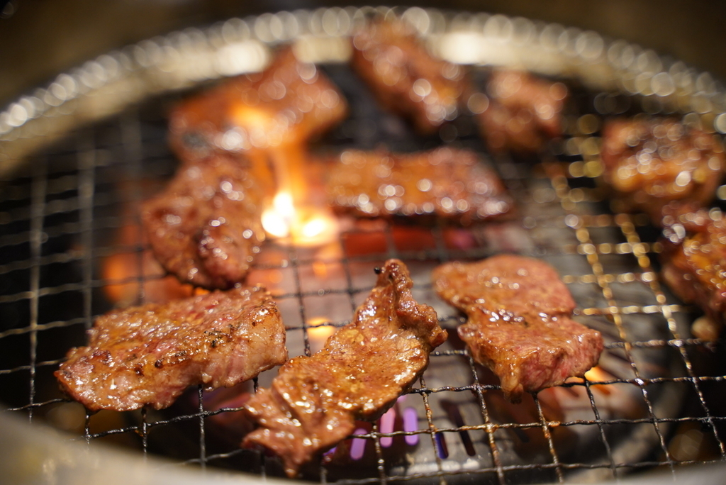 f:id:djrkmrym:20190225093638j:plain