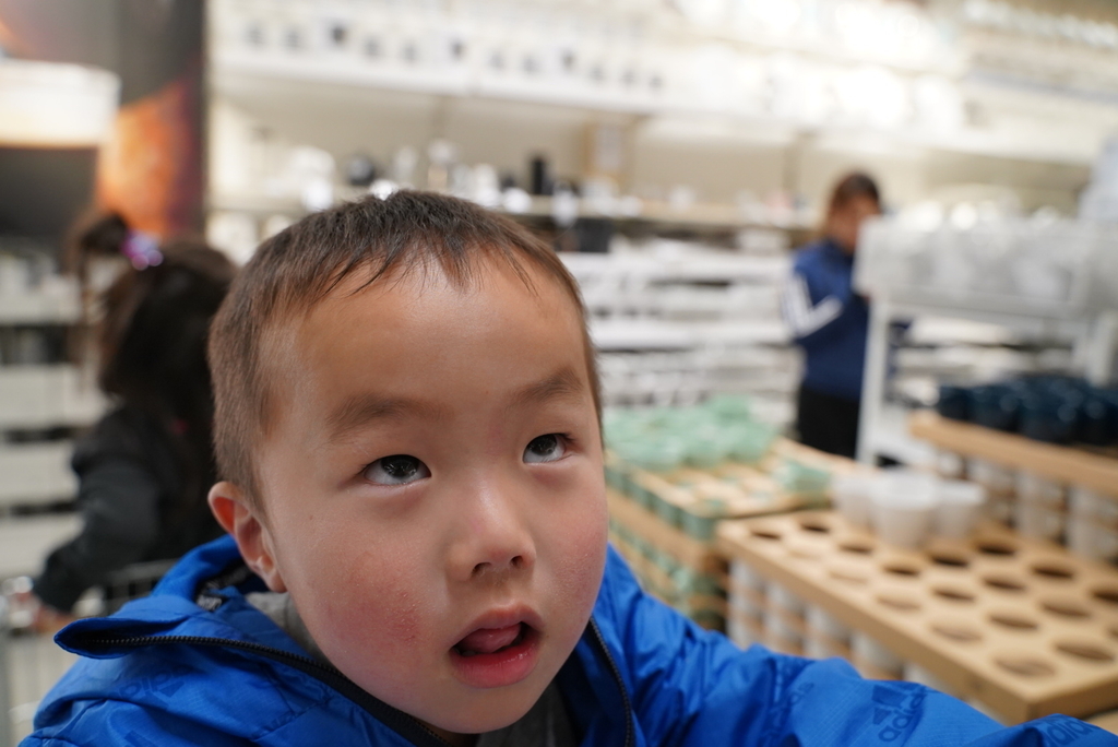 f:id:djrkmrym:20190226023505j:plain f:id:djrkmrym:20190226023505j:plain