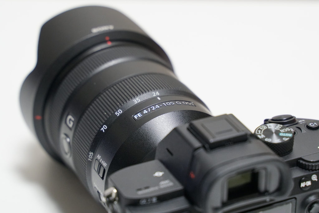 SEL24105G 作例レビュー】日常使い,旅行にこの1本な超万能標準ズーム