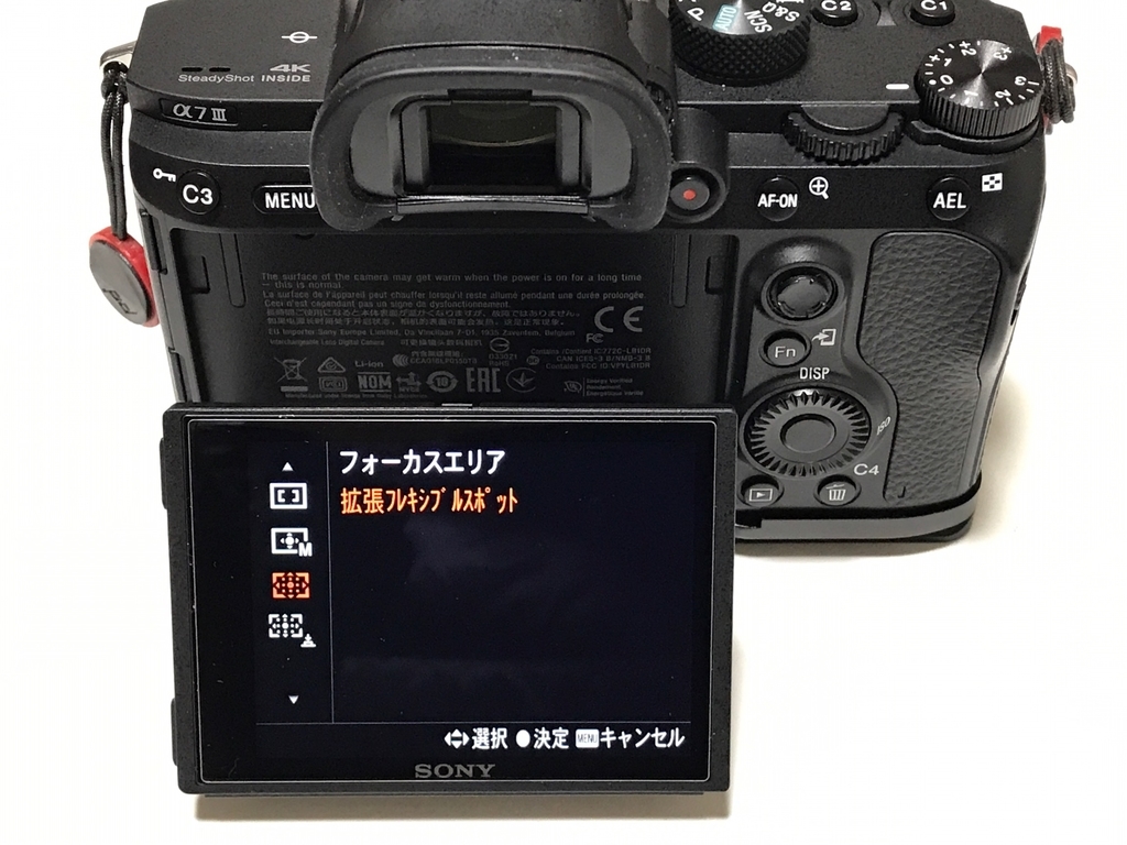f:id:djrkmrym:20190308015653j:plain