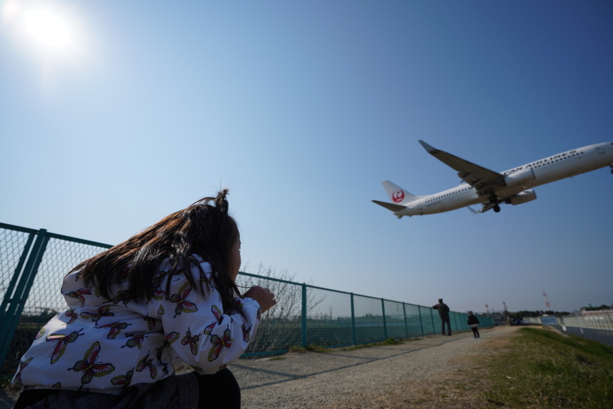 f:id:djrkmrym:20190318155806j:plain f:id:djrkmrym:20190318155806j:plain