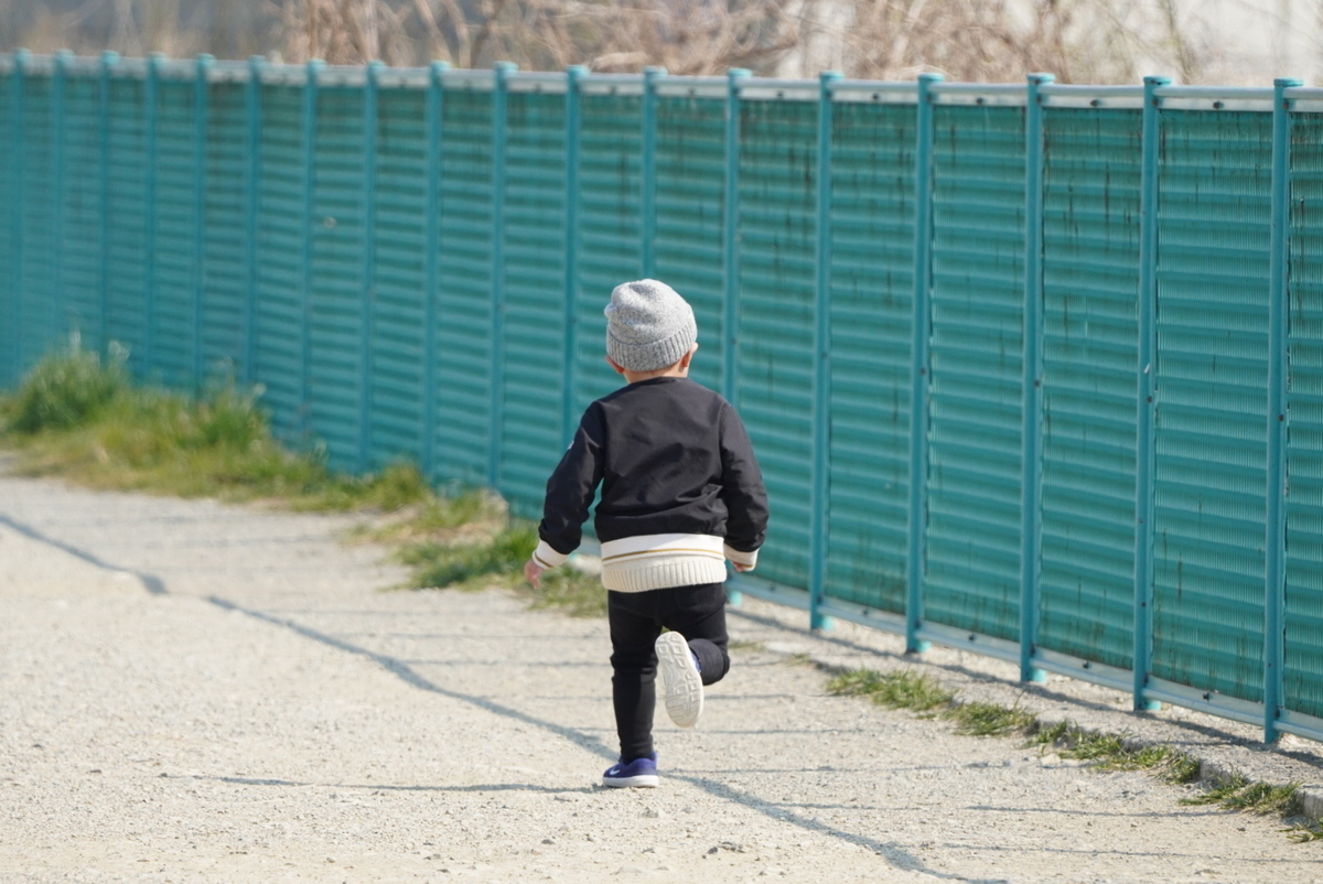 f:id:djrkmrym:20190318162016j:plain f:id:djrkmrym:20190318162016j:plain