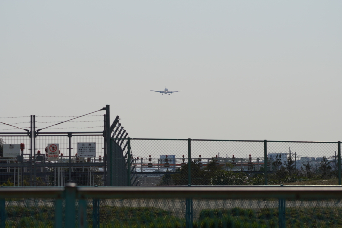 f:id:djrkmrym:20190318163005j:plain f:id:djrkmrym:20190318163005j:plain