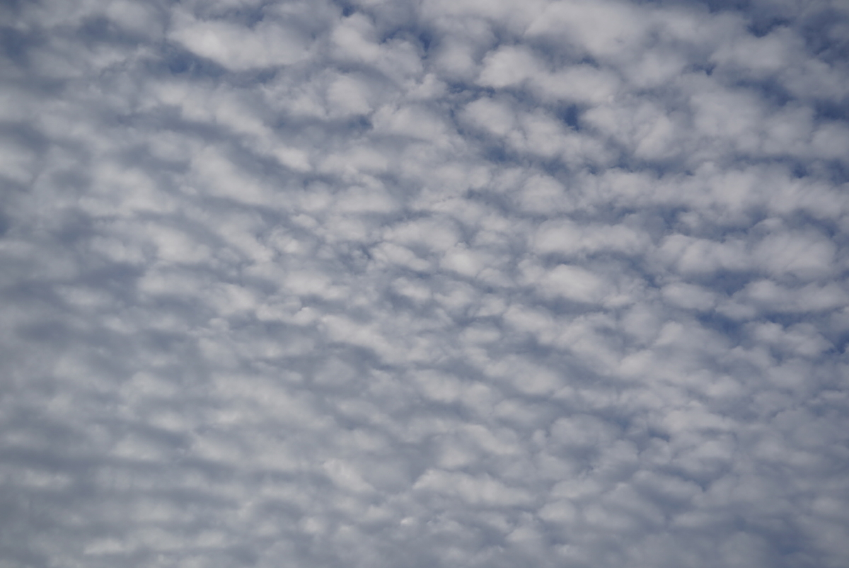 f:id:djrkmrym:20190322112407j:plain