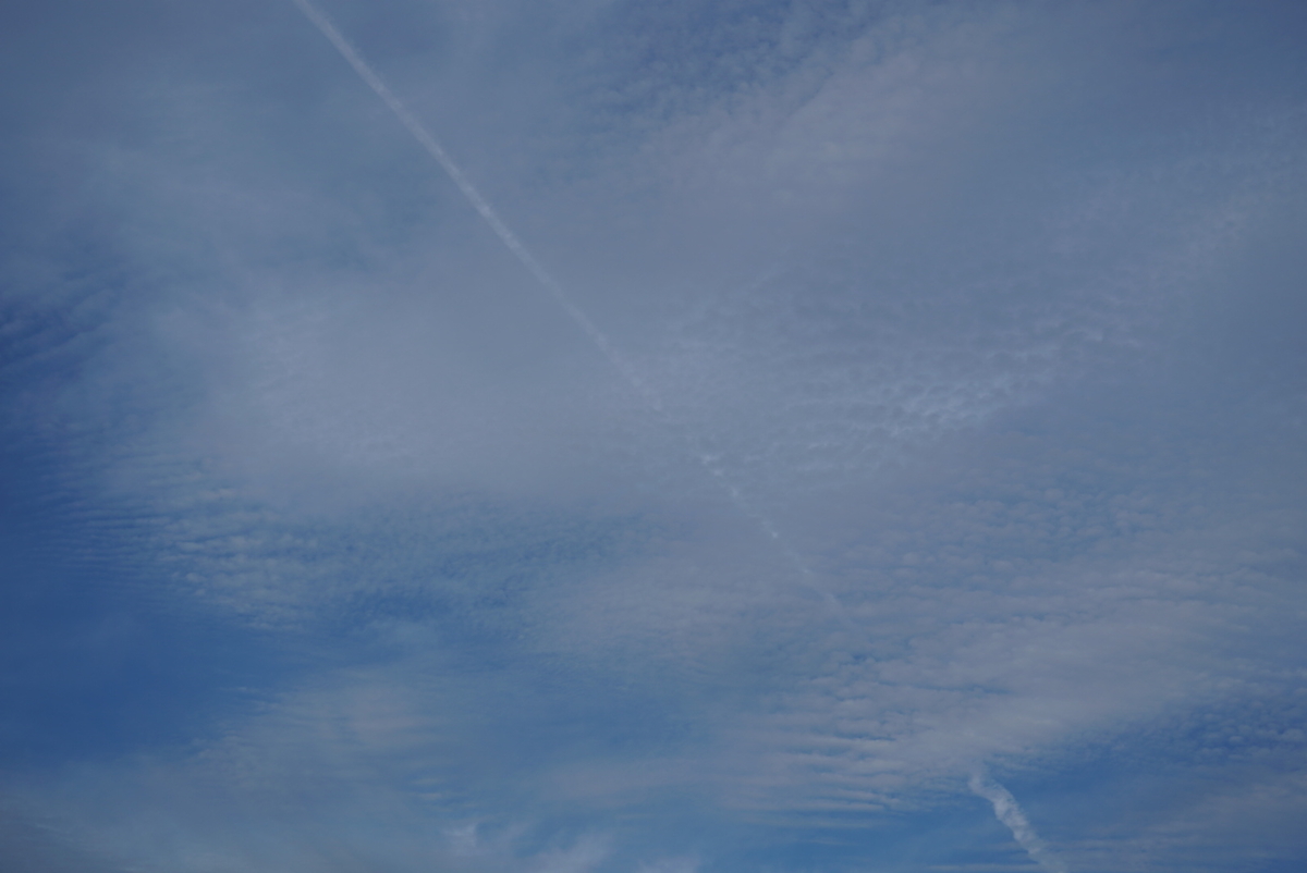 f:id:djrkmrym:20190322112438j:plain