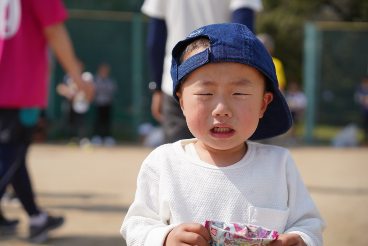 f:id:djrkmrym:20190409160838j:plain