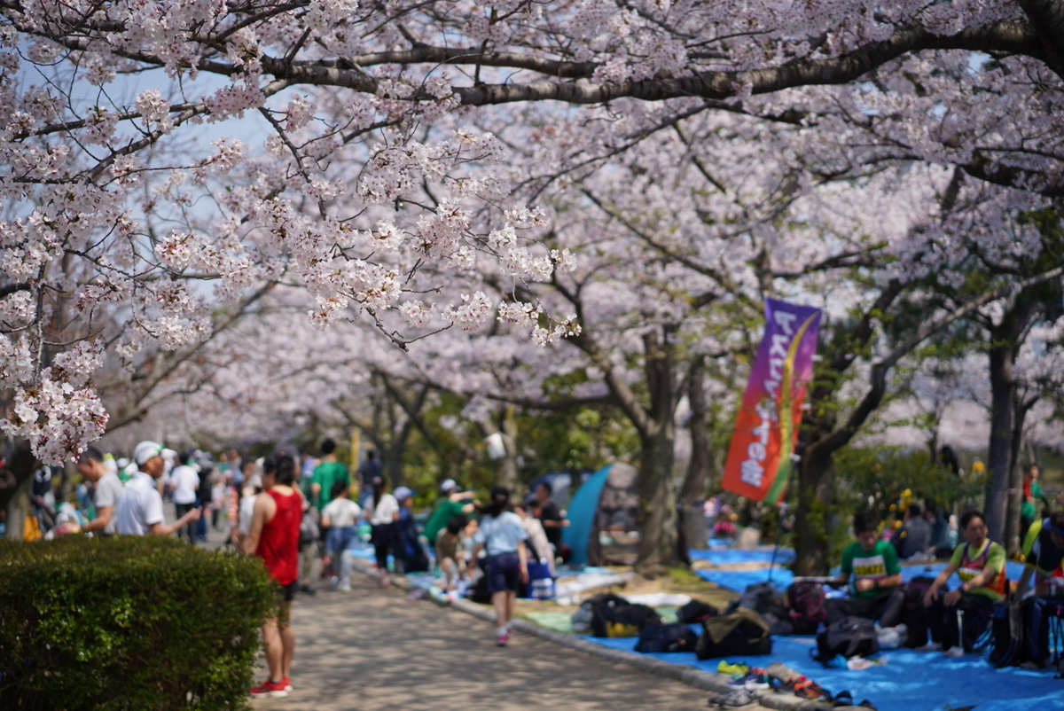 f:id:djrkmrym:20190409161154j:plain