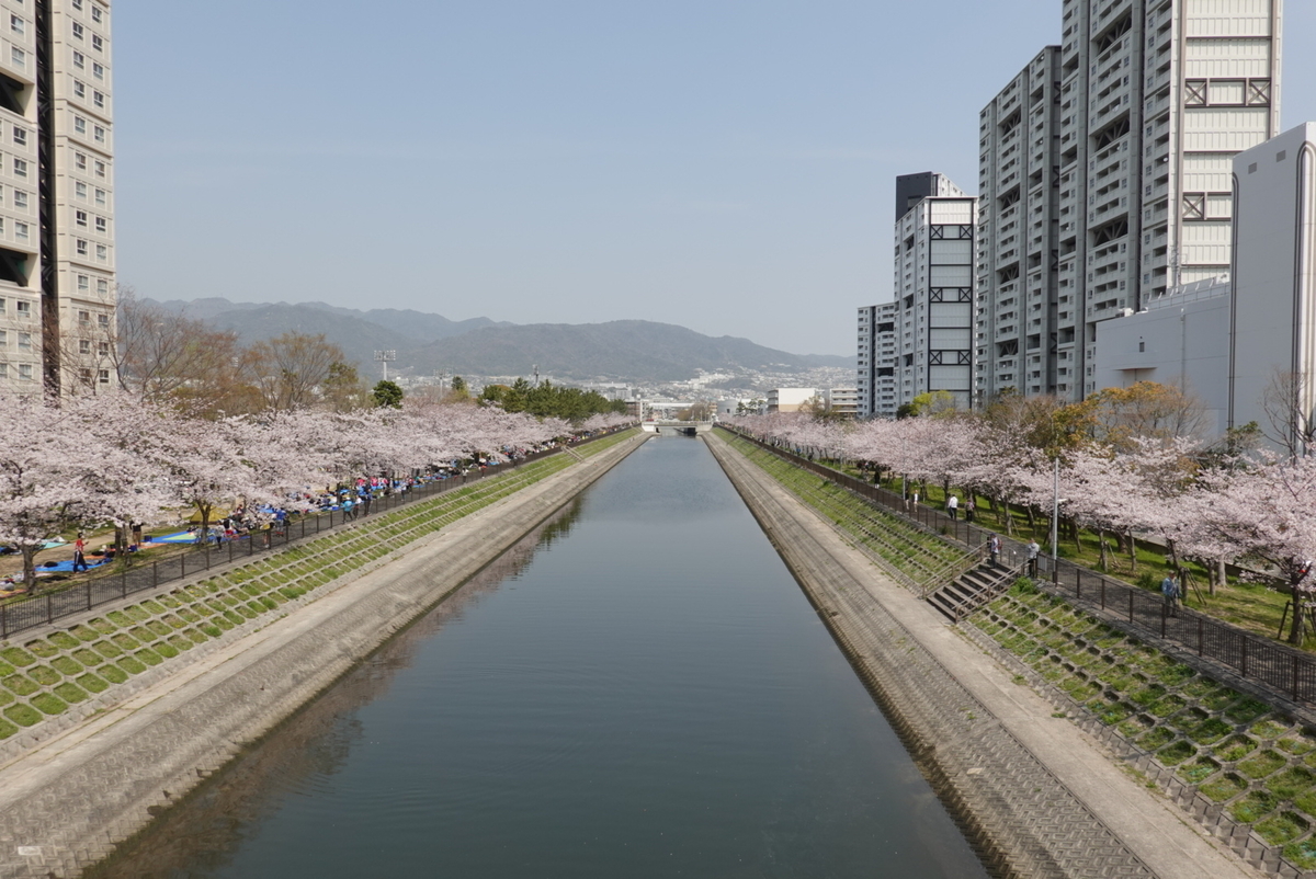 f:id:djrkmrym:20190409161356j:plain