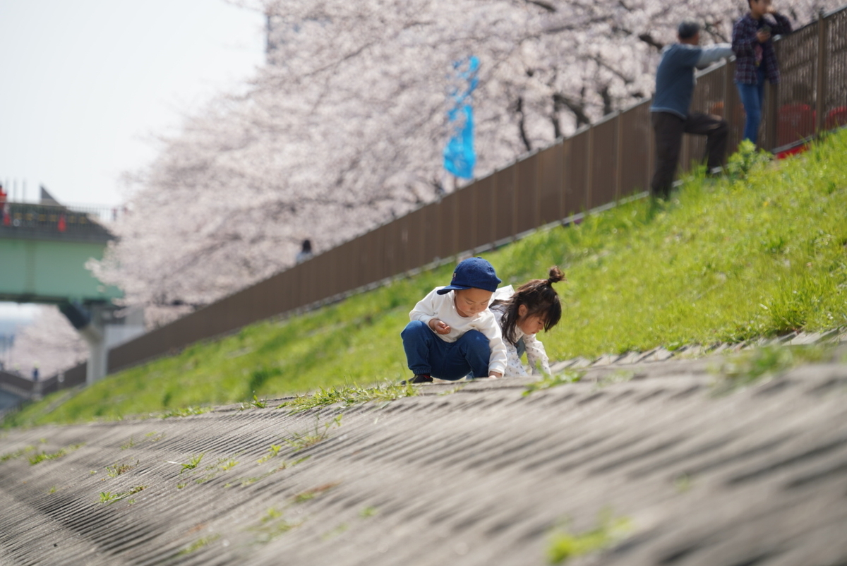 f:id:djrkmrym:20190409163617j:plain