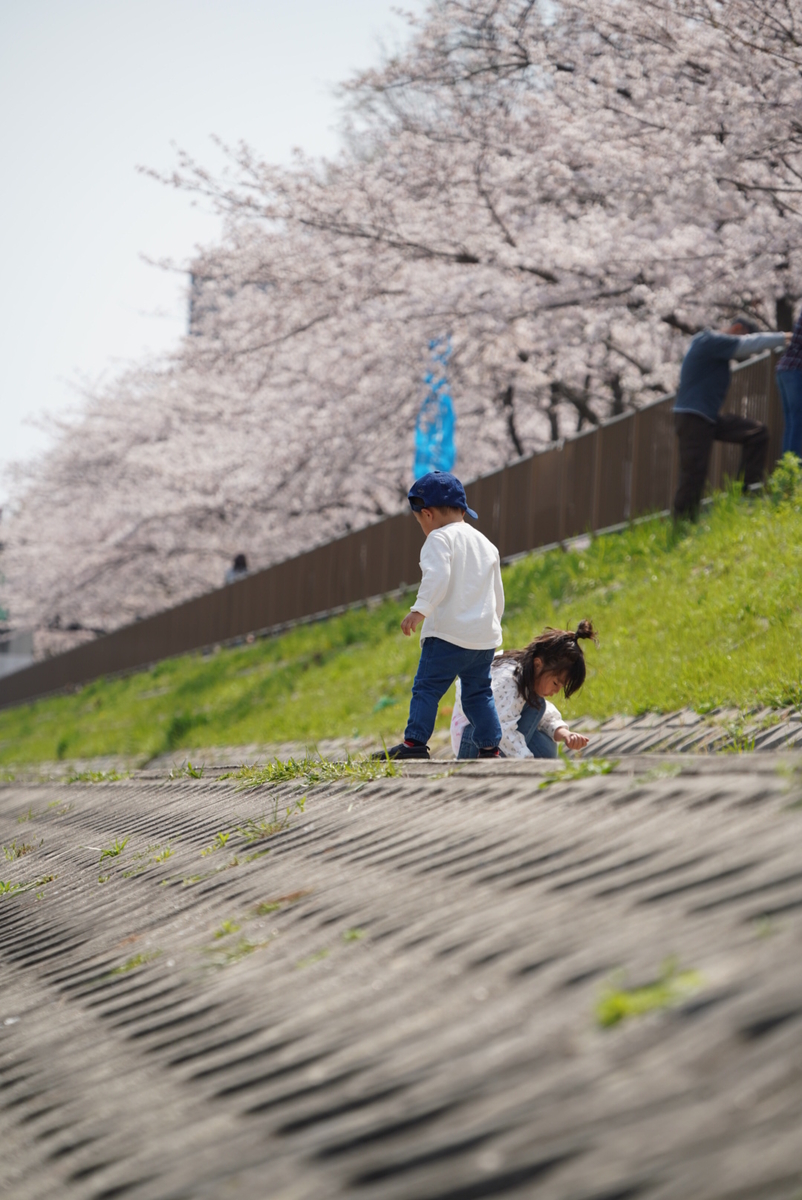 f:id:djrkmrym:20190409163713j:plain