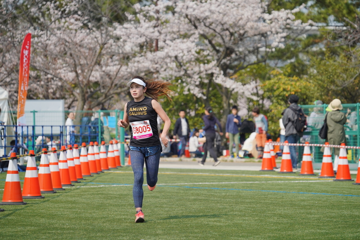 f:id:djrkmrym:20190409170058j:plain