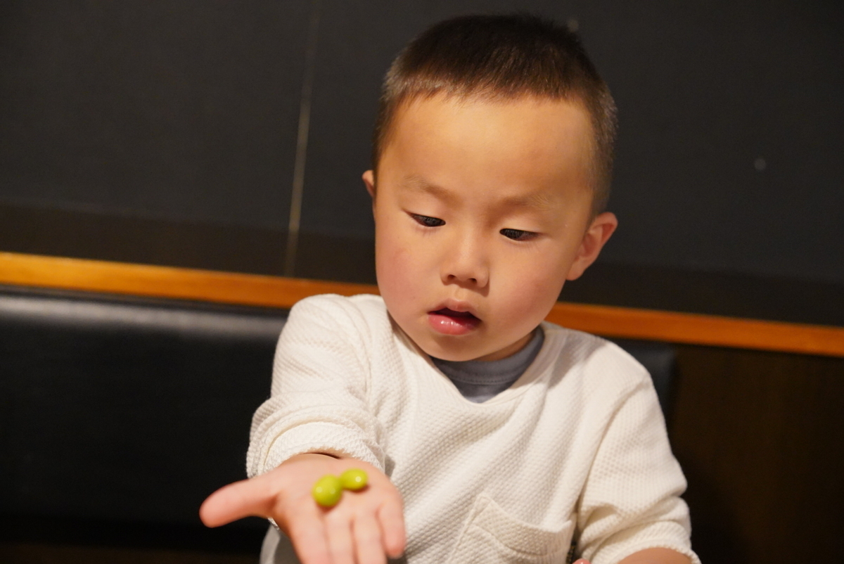 f:id:djrkmrym:20190426093619j:plain