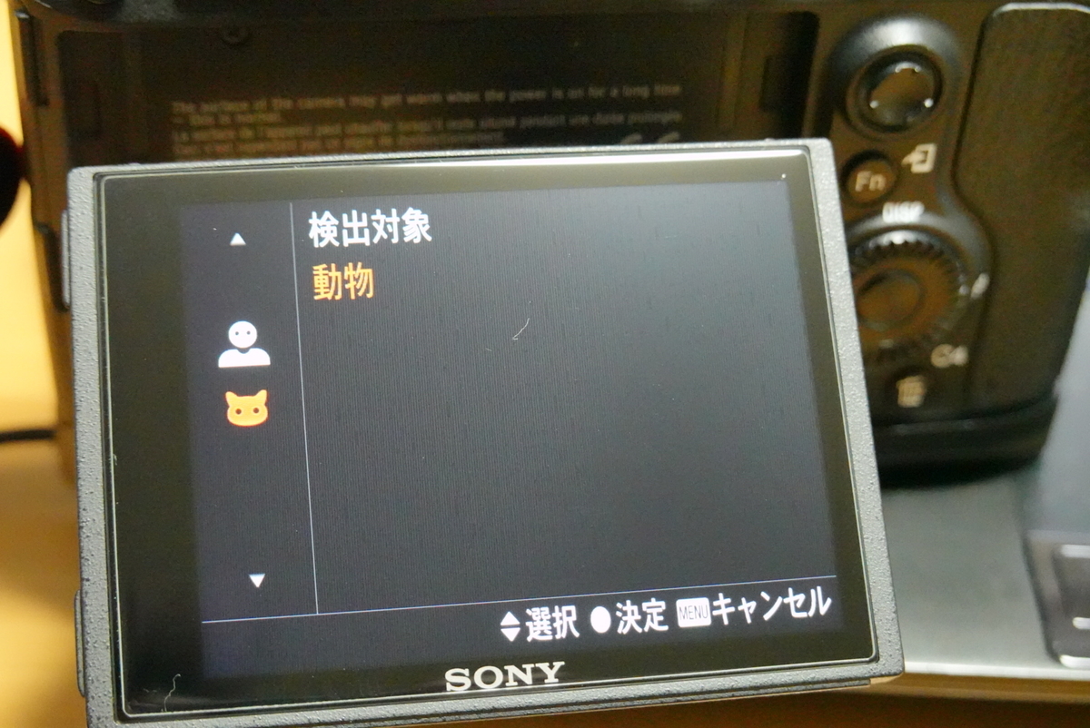 f:id:djrkmrym:20190508150716j:plain