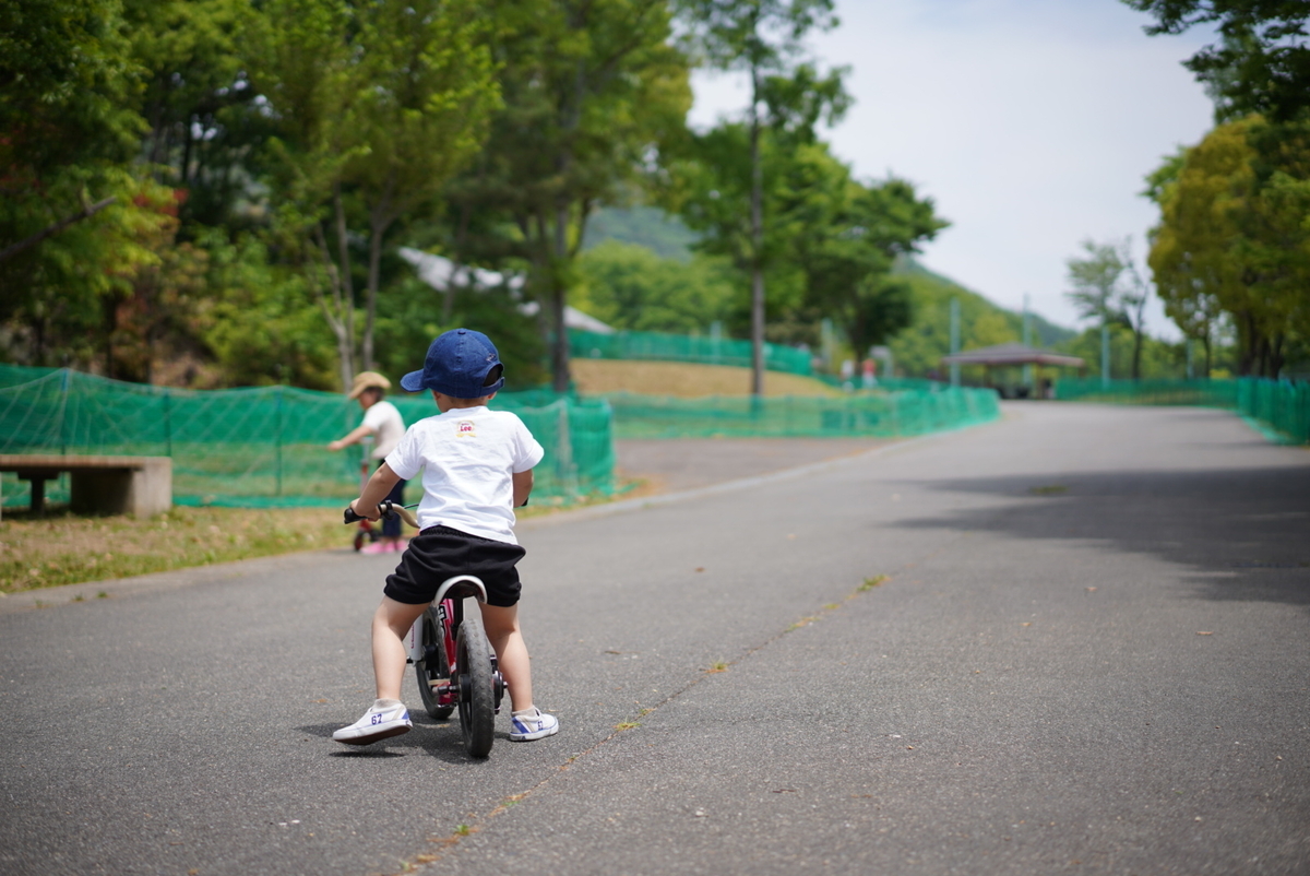 播磨中央公園】子どもの森ゾーンの遊具で遊ぶ!無料で遊べる楽しい公園