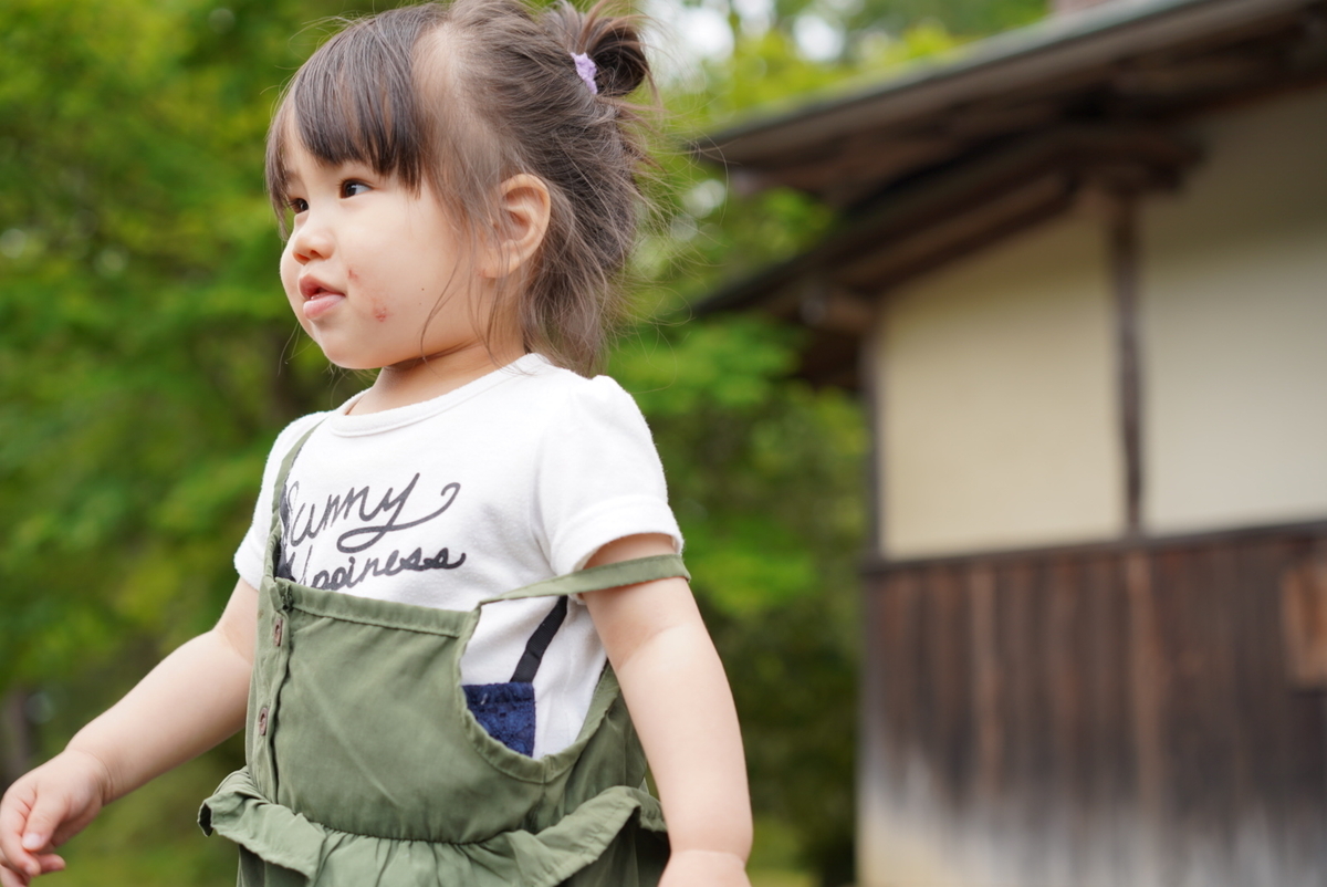 f:id:djrkmrym:20190523102019j:plain