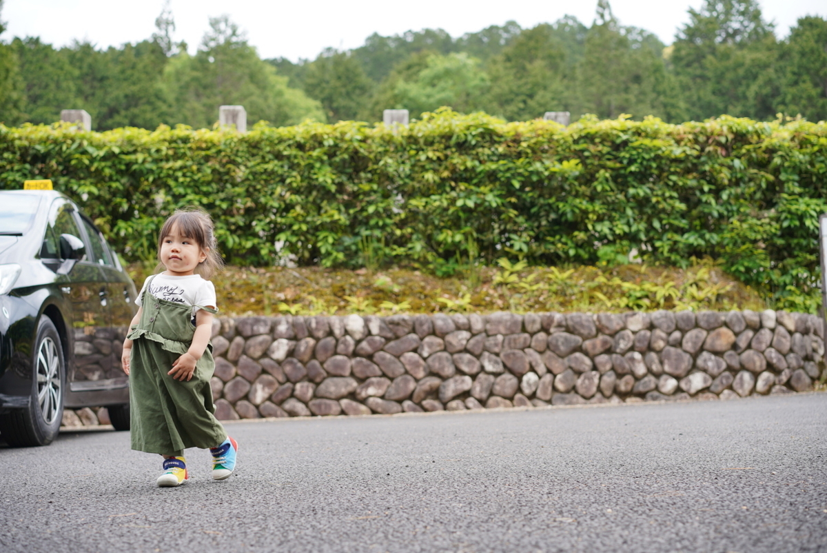 f:id:djrkmrym:20190523102051j:plain