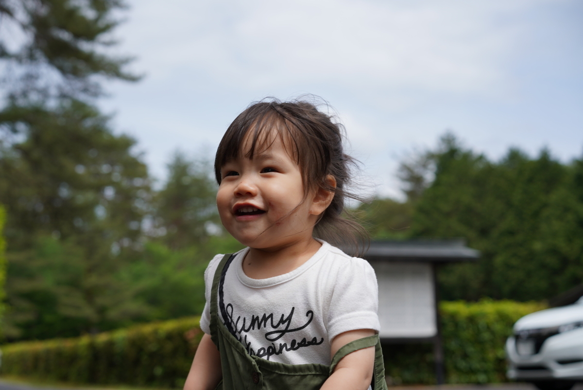 f:id:djrkmrym:20190523102117j:plain