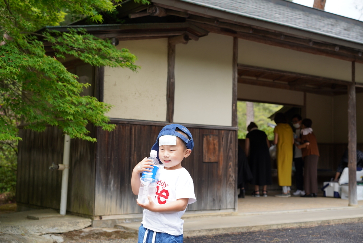 f:id:djrkmrym:20190523102126j:plain