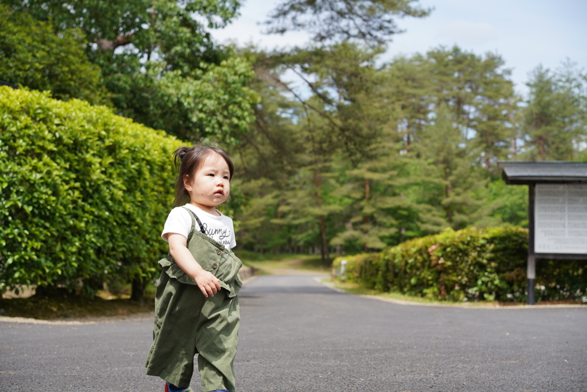 f:id:djrkmrym:20190523102235j:plain